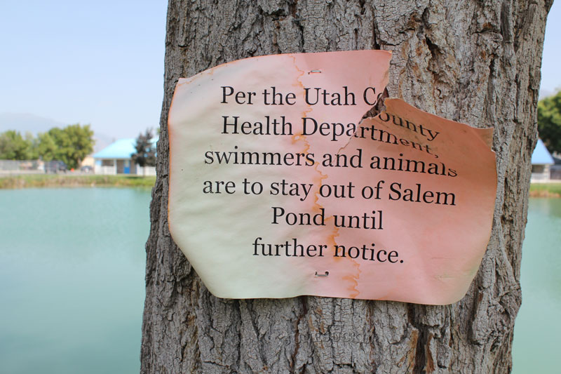 Salem Pond sign.
