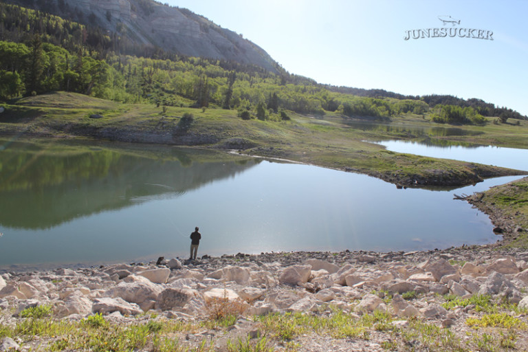 Spinners Reservoir Fishing MantiLa Sal Forest