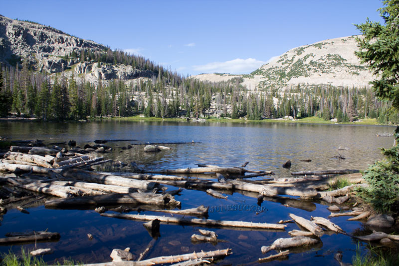 Ruth Lake Utah Fishing The Uintas