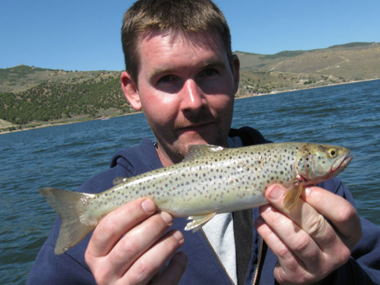 Rockport Reservoir Fishing northern Utah