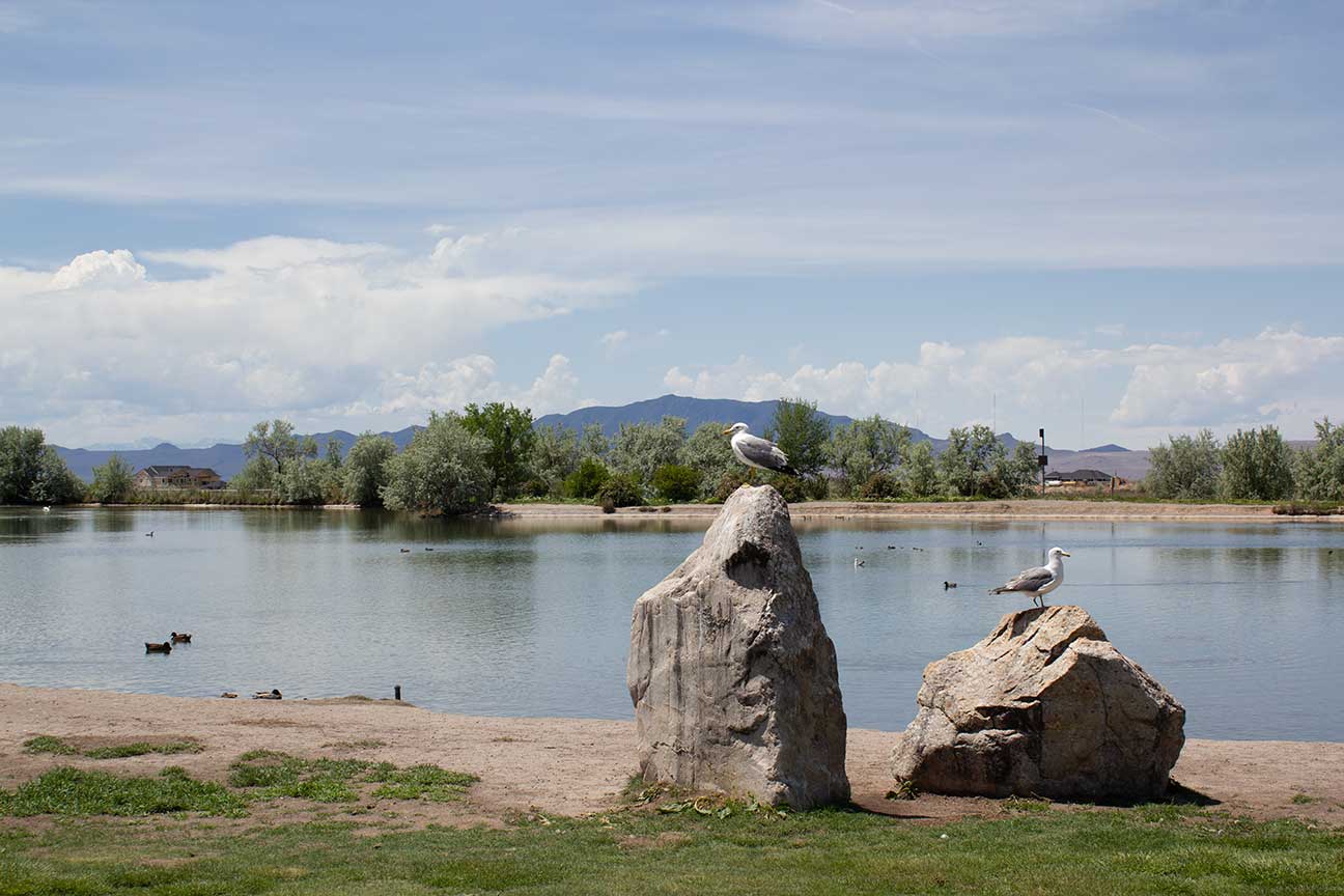 Jensen Nature Park Pond.