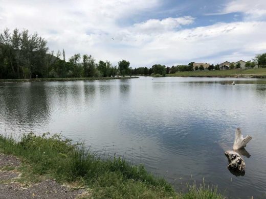 Spring Lake - Junesucker.com - Urban Fishing in Utah County.