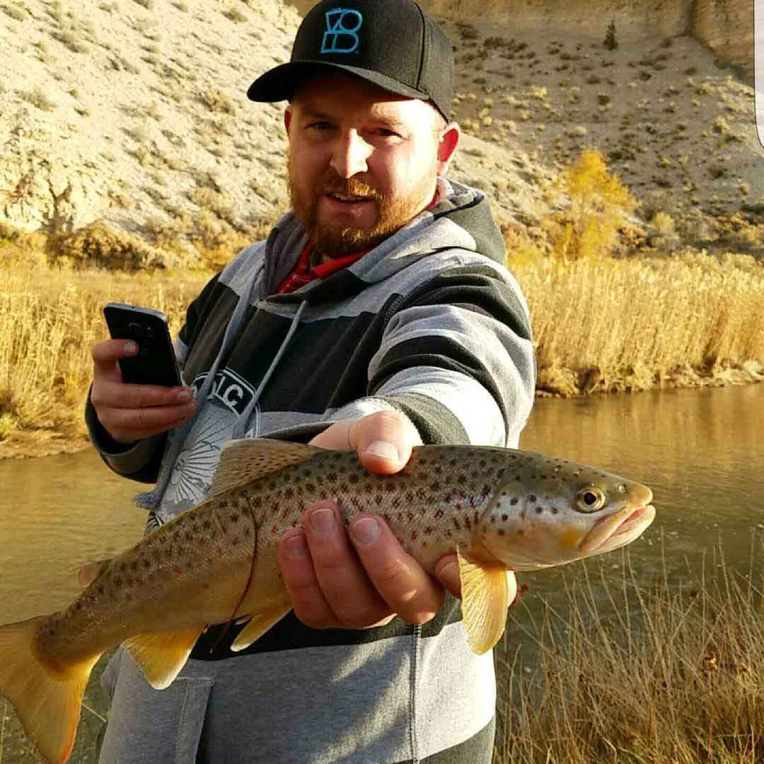 Spawning Brown Trout