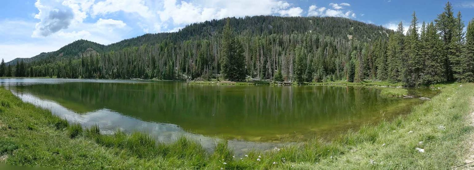 Academy Mill Reservoir - Junesucker.com - Southeastern Utah Fishing