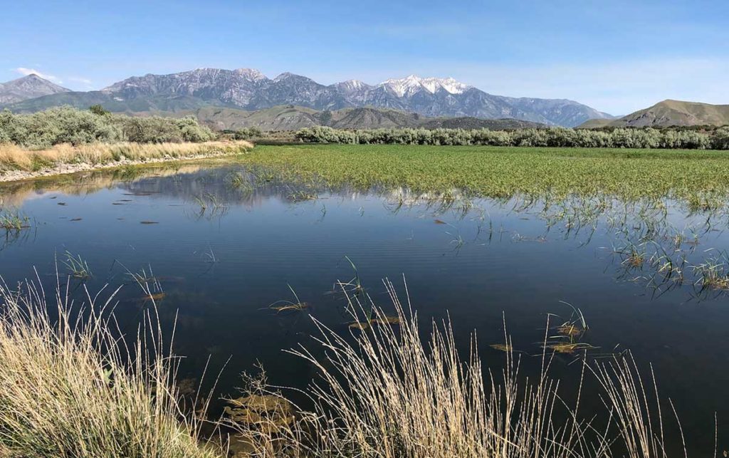 Goshen Reservoir Fishing Central Utah