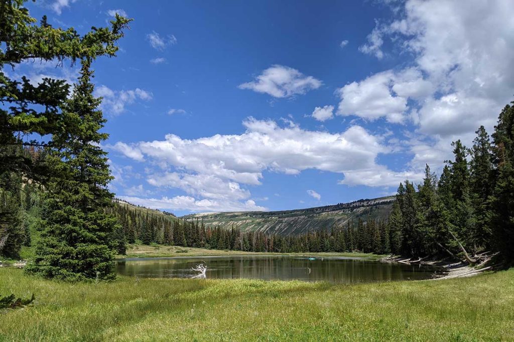 Cove Lake - Junesucker.com - Fishing Sanpete County, Utah