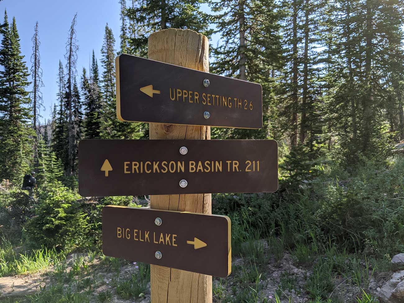 Erickson Basin Trail